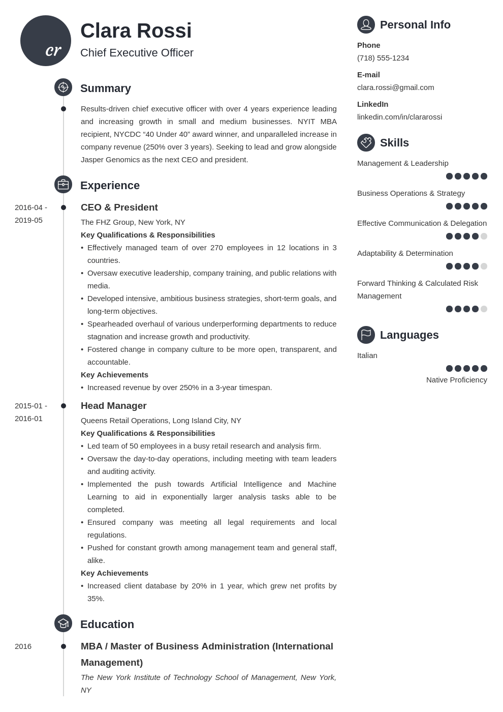 ceo resume example template primo