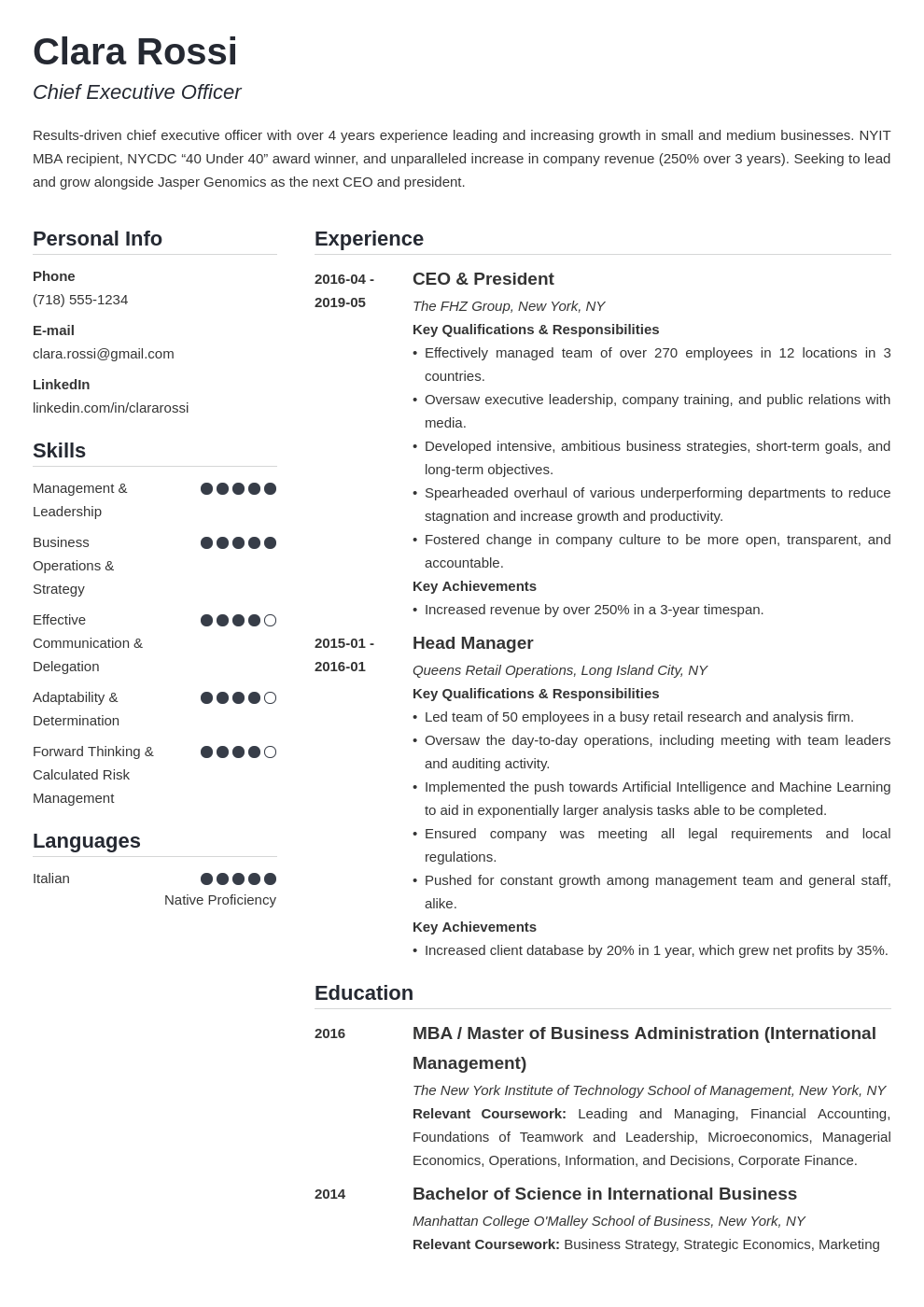 ceo resume example template simple