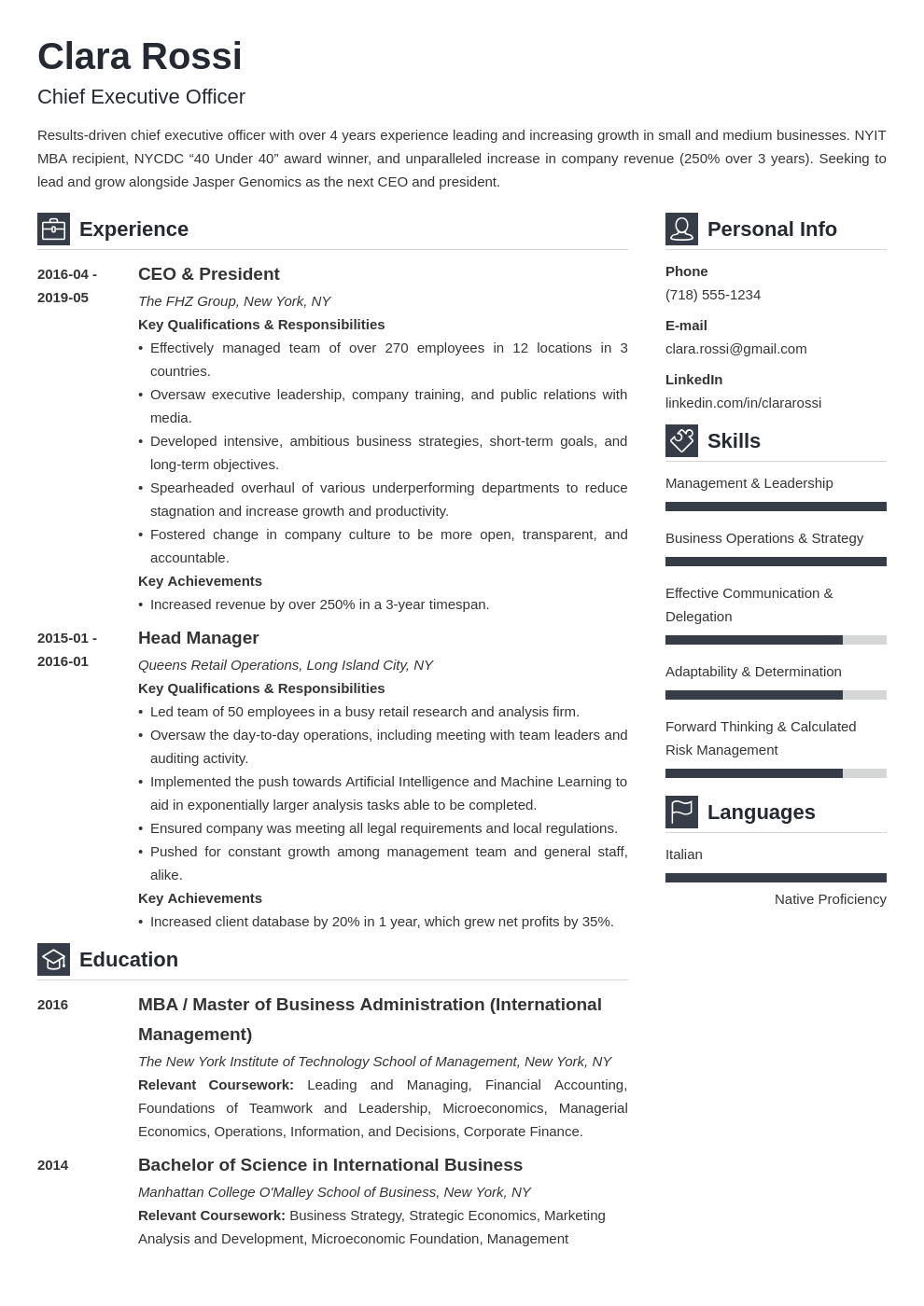 ceo resume example template vibes