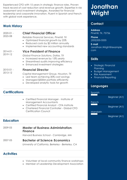 cfo resume templates