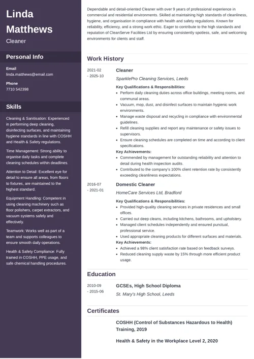 cleaner CV examples