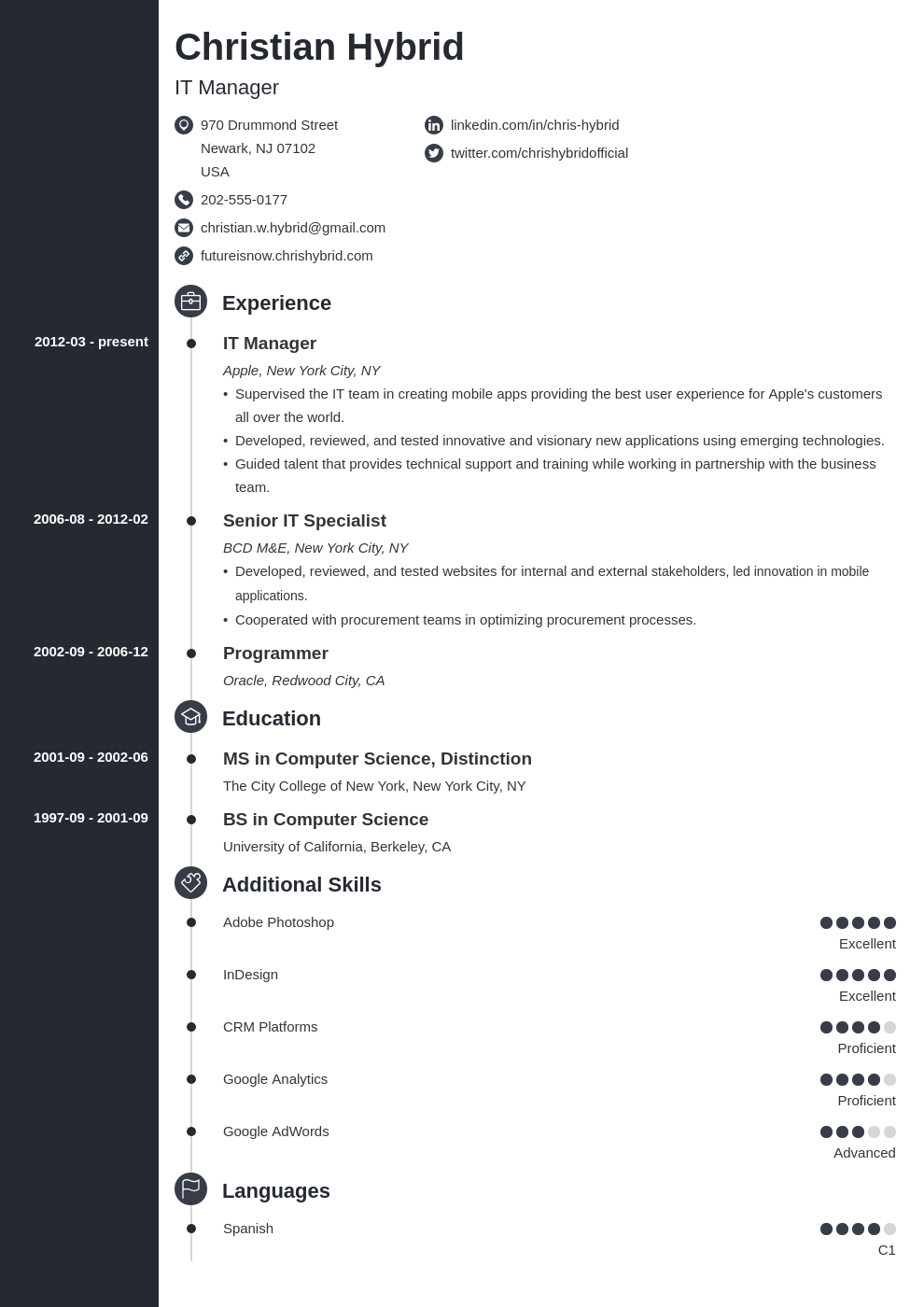 creative writer combination resume template free download