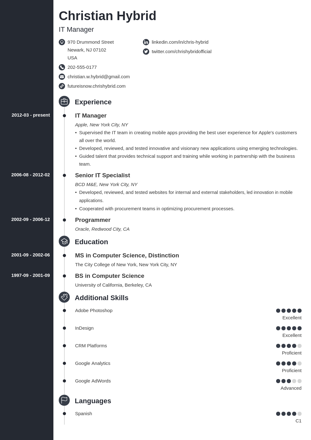 Combination Resume Template 5 Combo Examples 