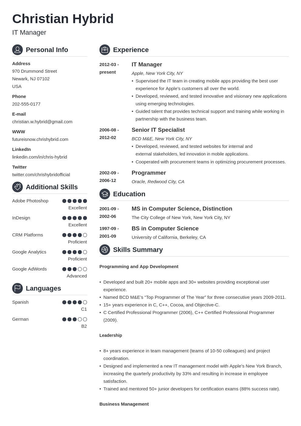 Combination Resume Template 5 Combo Examples 