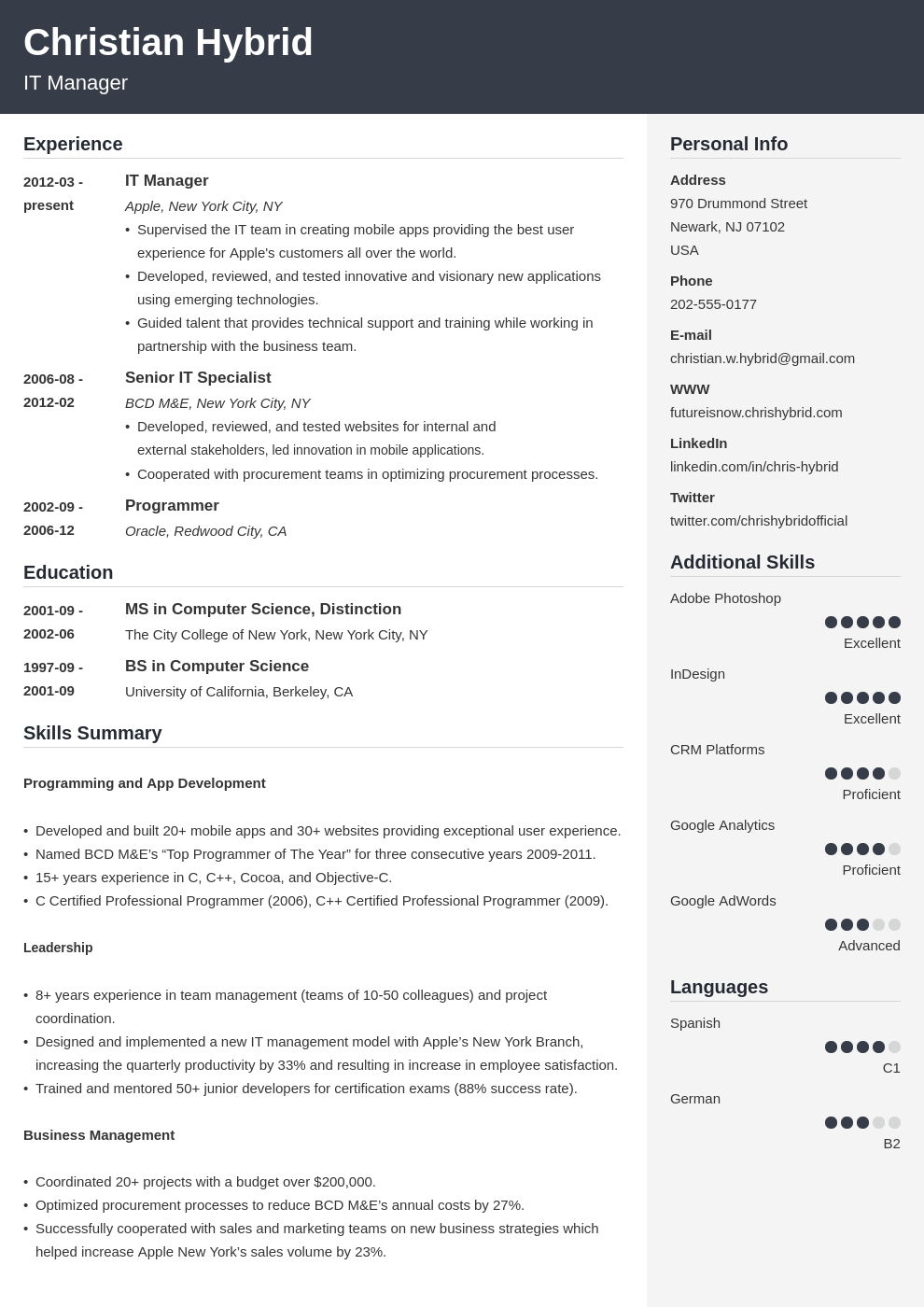 combination resume template word