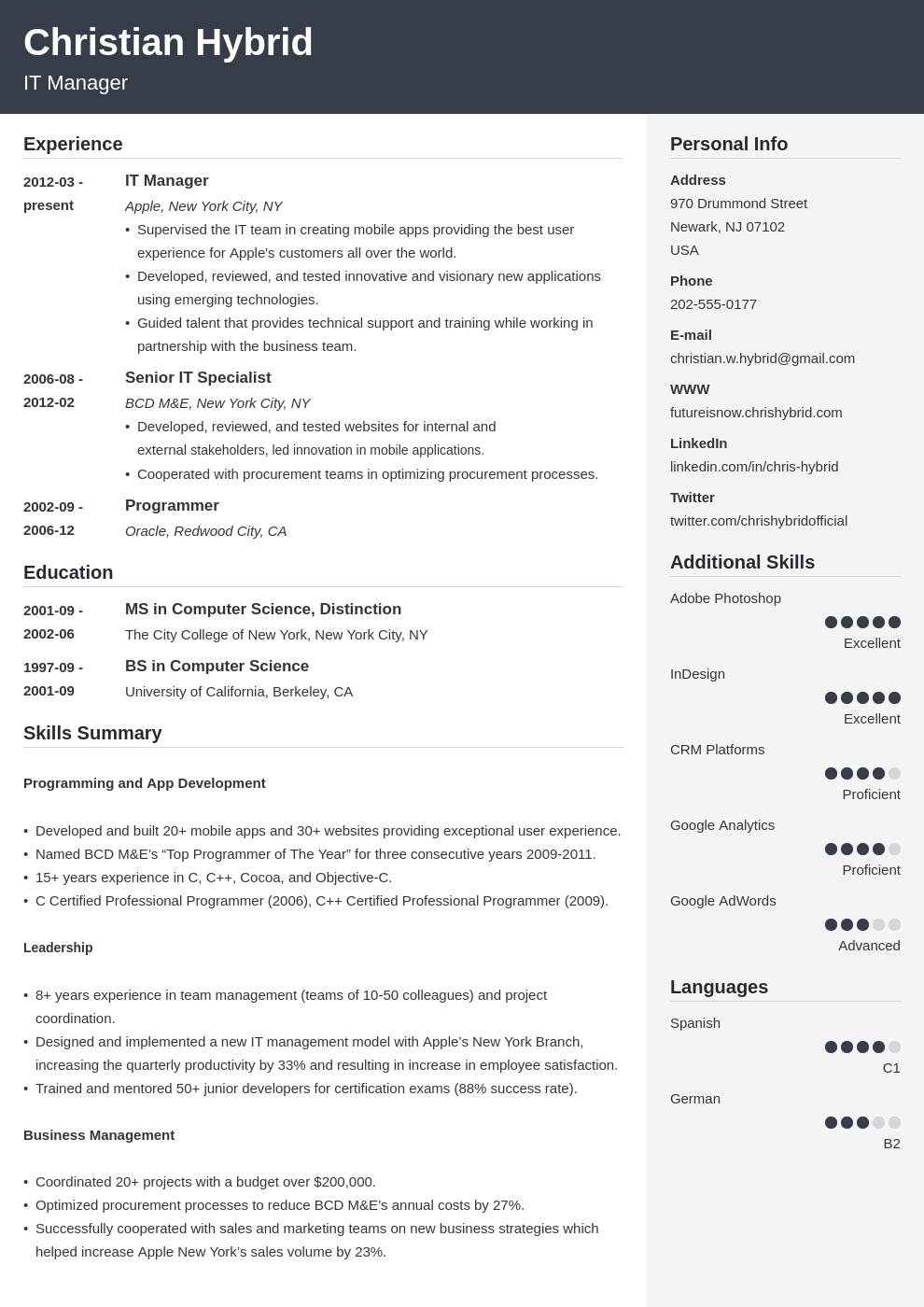 Combination Resume Template 5 Combo Examples 