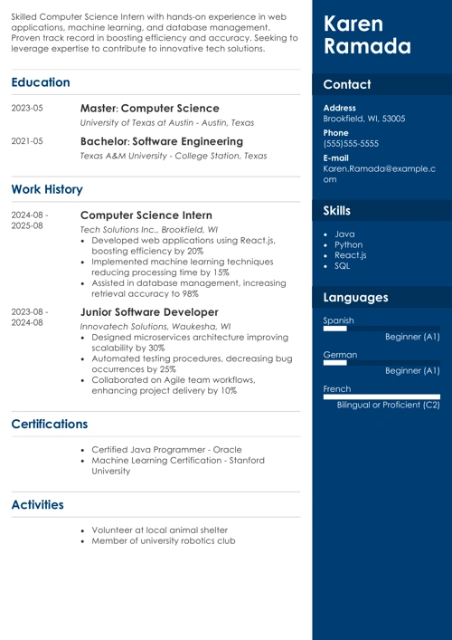 sample resume example