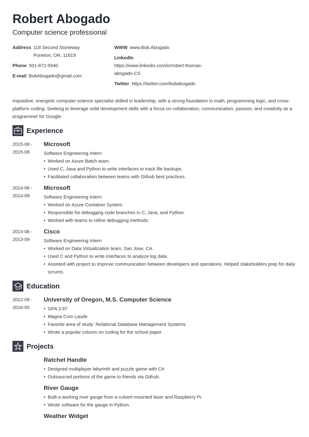 computer science project resume