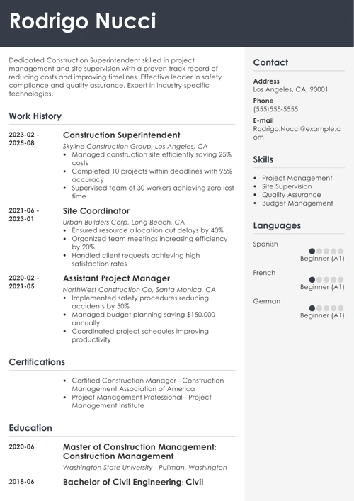 sample resume example