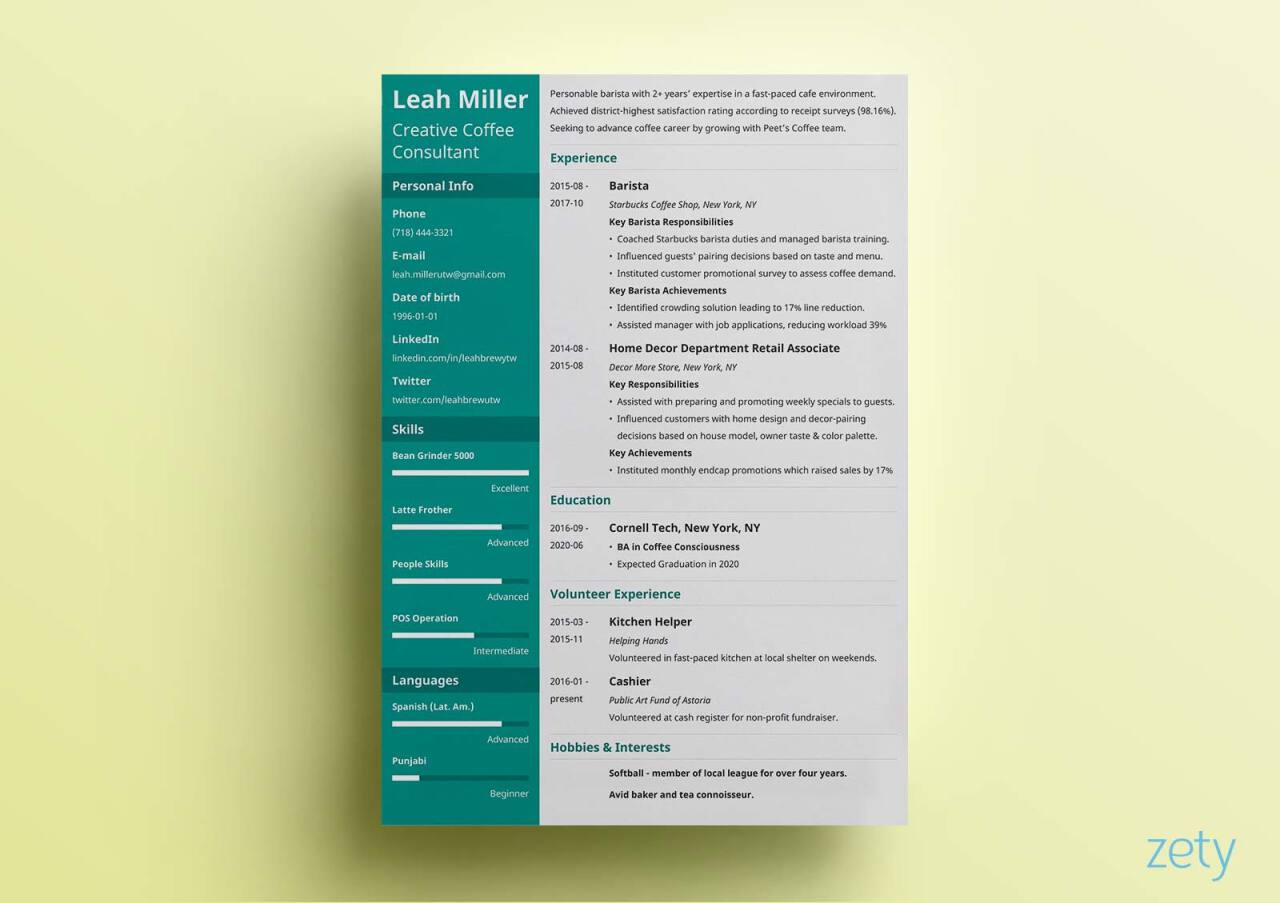 Application simple resume examples for job