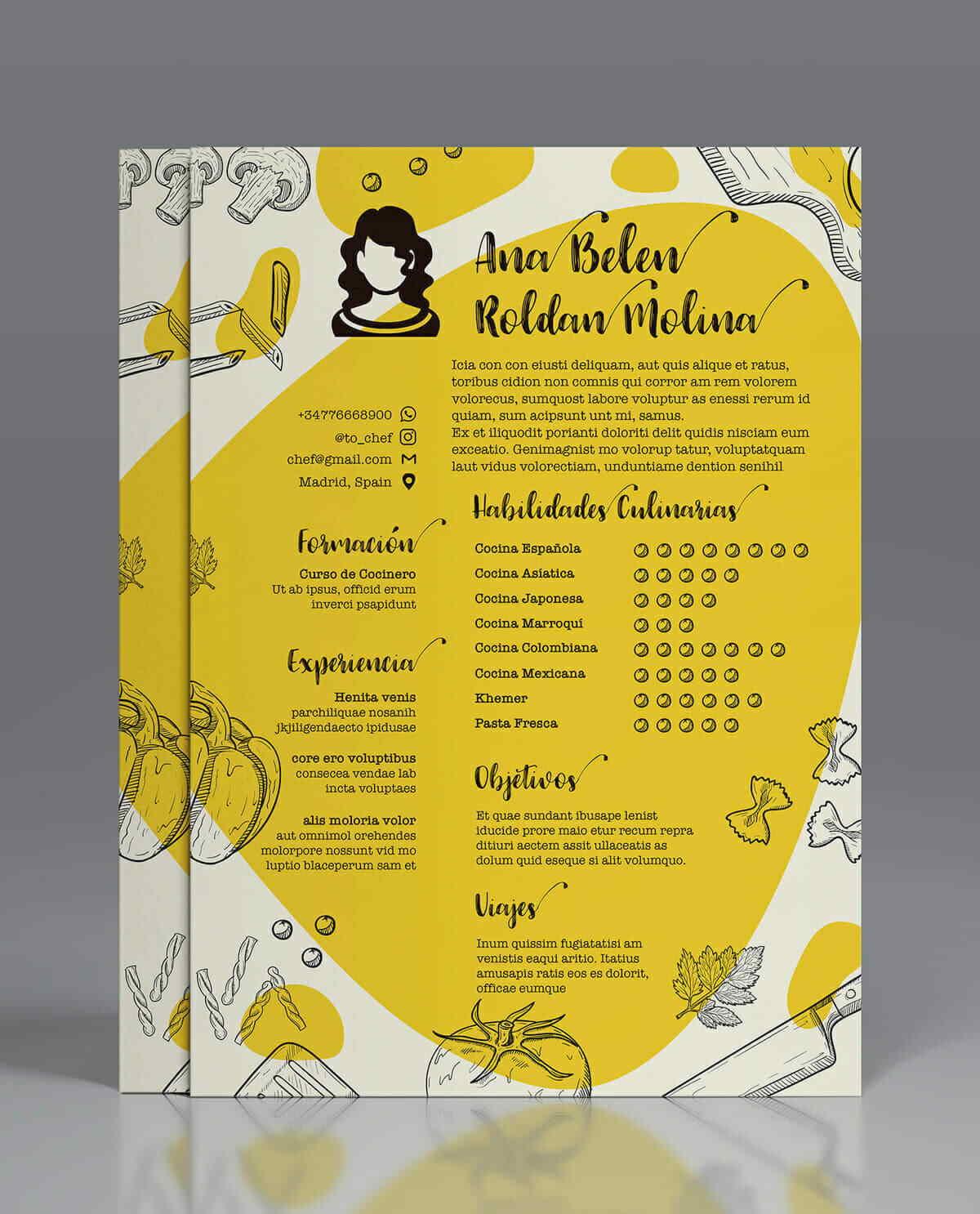 creative resume templates to buy