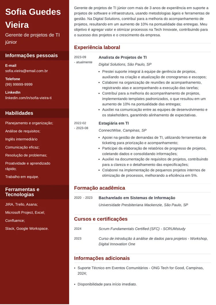 exemplo de CV de gerente de projetos de TI iniciante