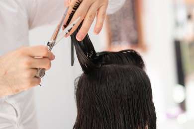 Exemplo de currículo de cabeleireiro: como fazer um