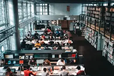 Exemple de CV académique [tout domaine universitaire]