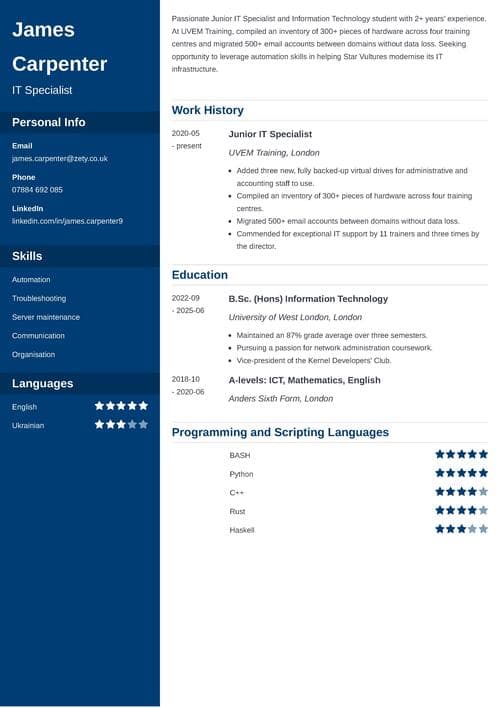 cv advice example
