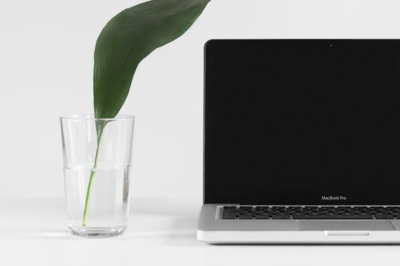 CV vs. Cover Letter: Differences & Similarities