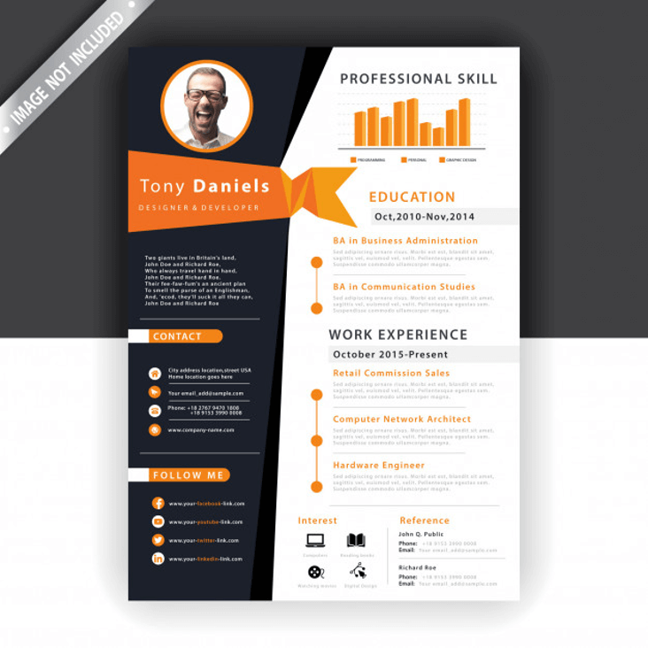 Cv Design Best Curriculum Vitae Designs For