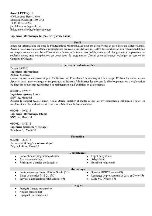 CV ingénieur informatique sans photo en noir et blanc