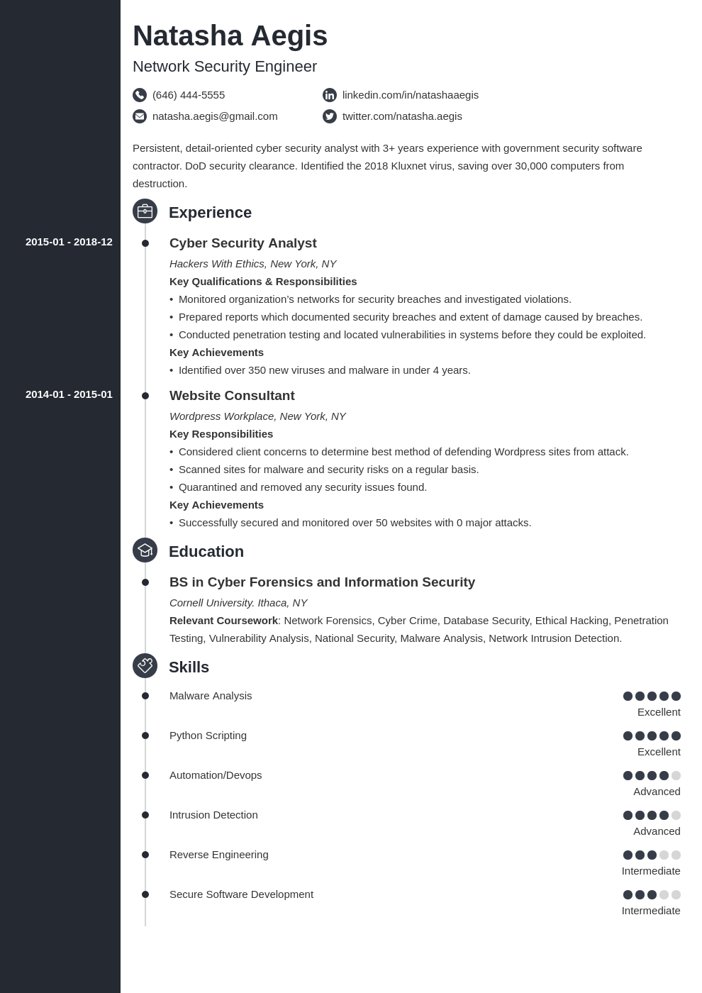 cyber security resume example template concept