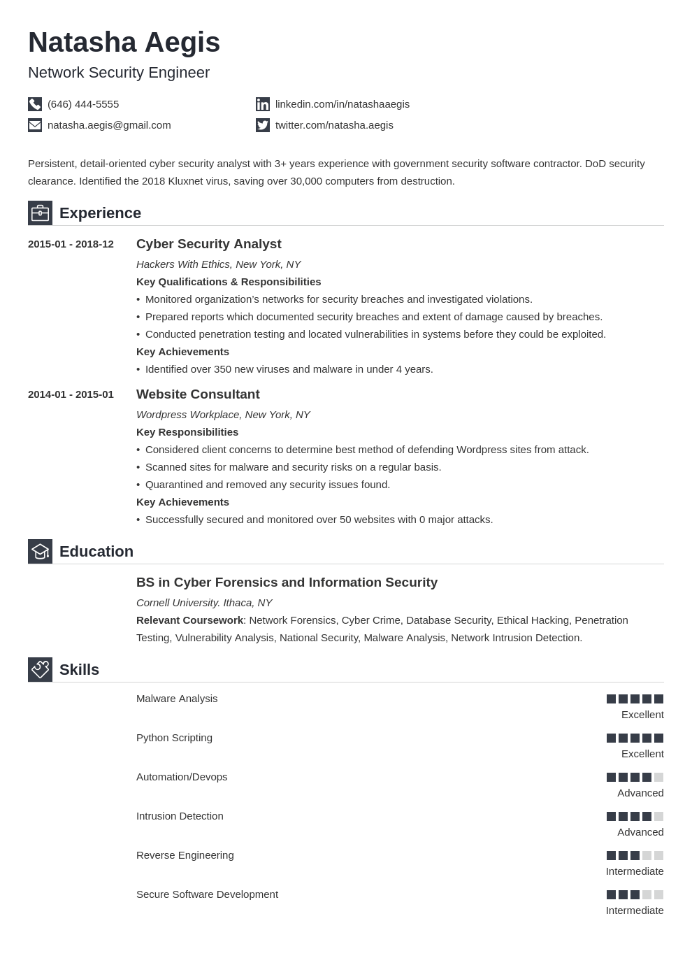 cyber security resume example template iconic