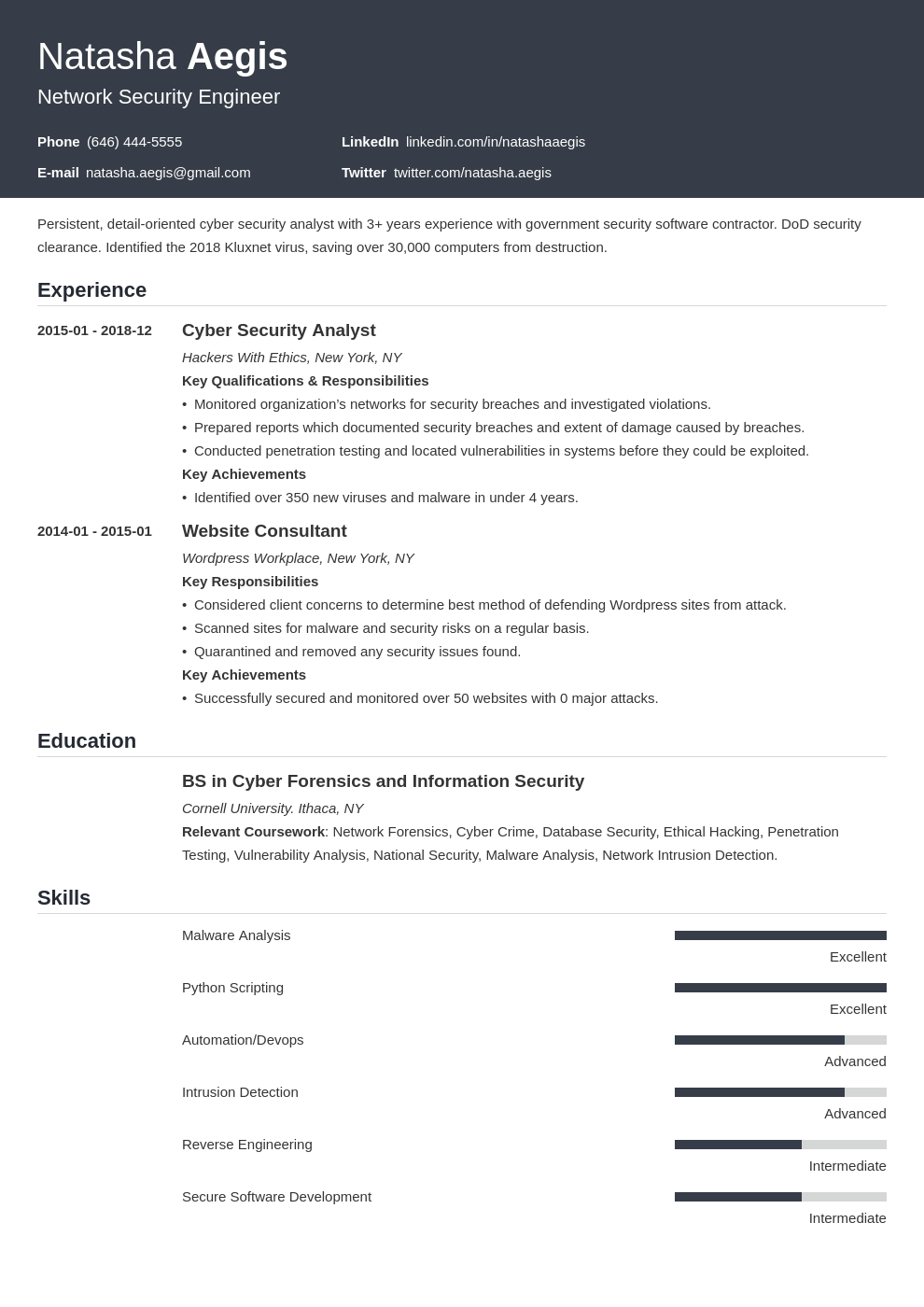 cyber security resume example template influx