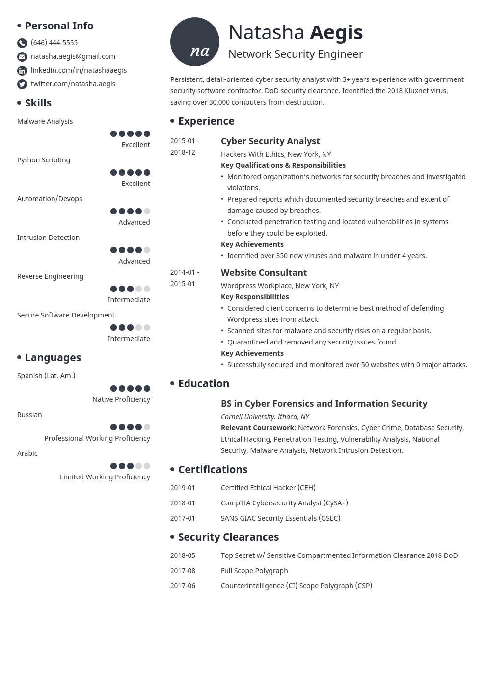 cyber security resume example template initials