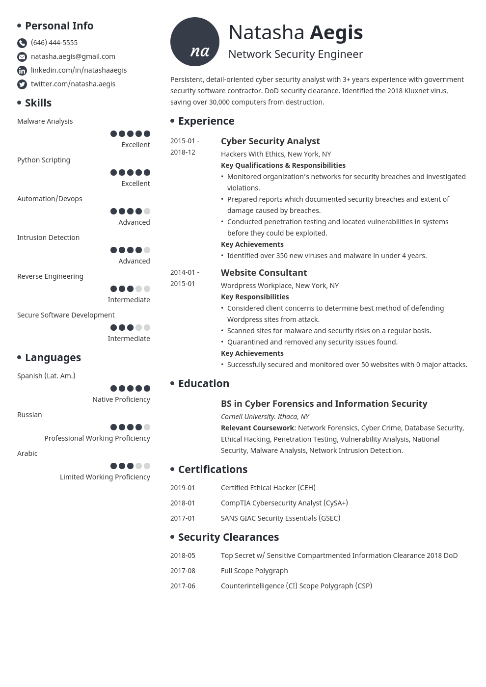 Cyber Security Resume Sample Also for Entry-Level Analysts