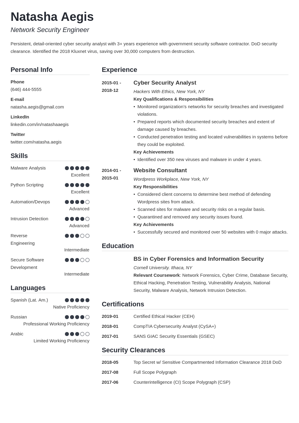 cyber security resume example template simple