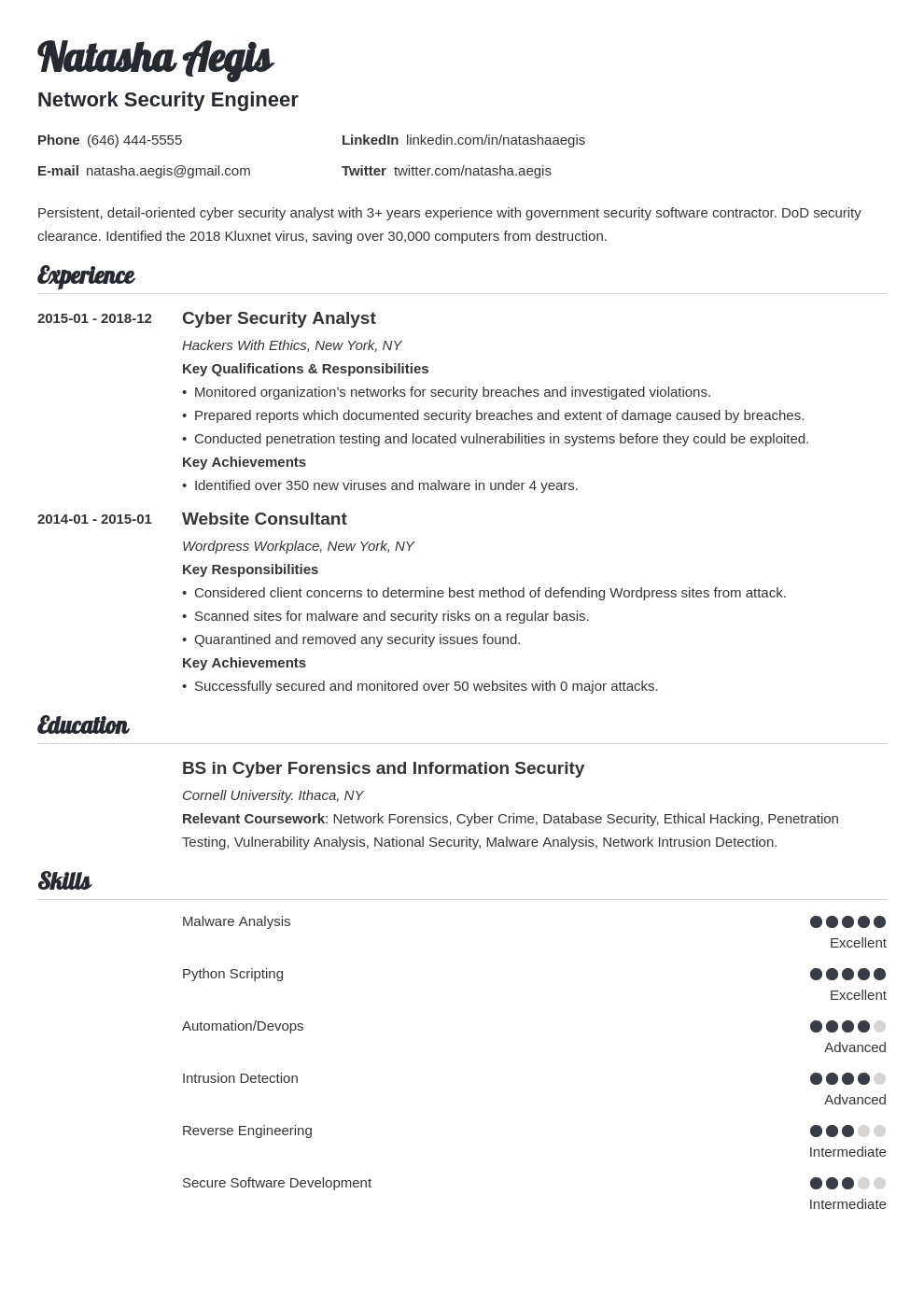 4 Cyber Security Resume Examples + Template for 2024