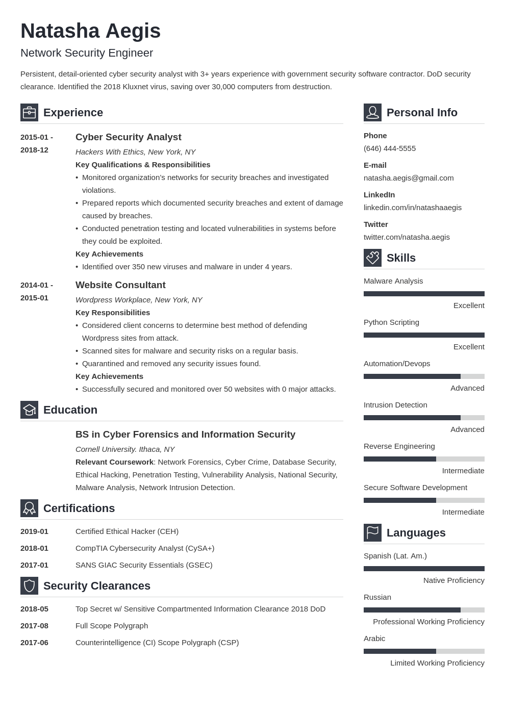 cyber security resume example template vibes