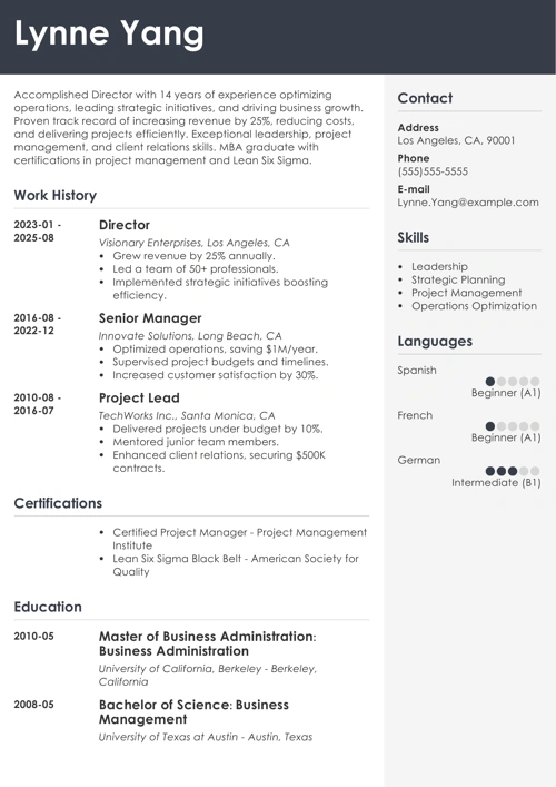 director resume example