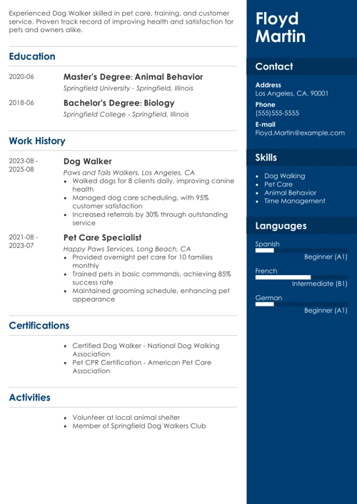 sample resume example