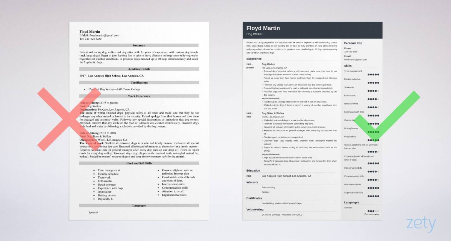 Dog Walker Resume: Sample & Writing Guide [20+ Tips]