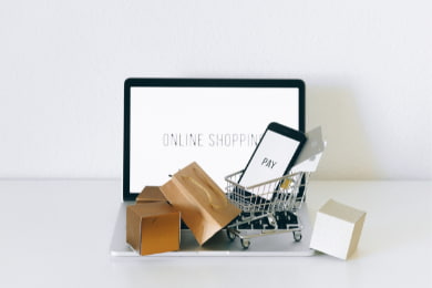 Ecommerce Resume: Examples, Job Description, Skills & Guide