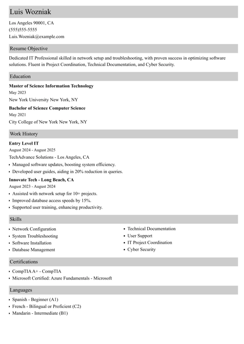 entry level it resume example