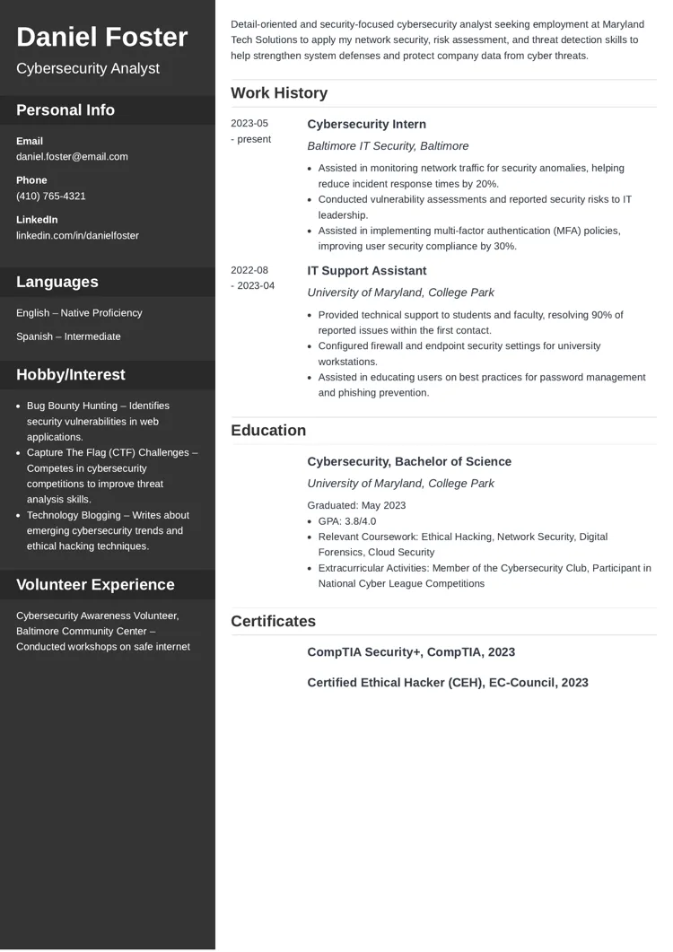 Entry-Level Cyber Security Resume Example