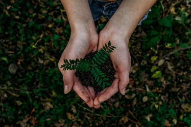 Environmental Science Resume Examples (also Entry Level)