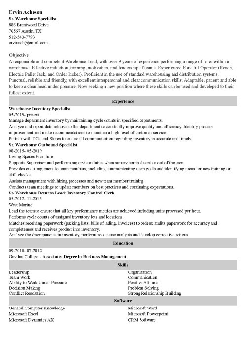 Free CV Templates for Microsoft Word to Download