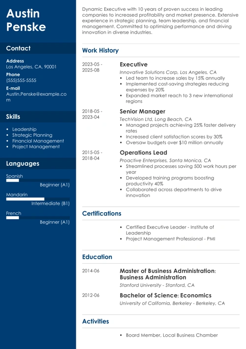 Executive resume example