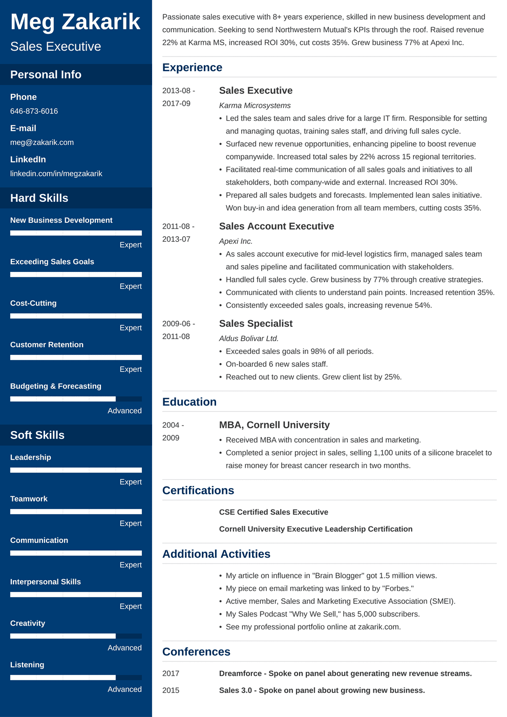 Best Executive Resume Template 20  C Level Examples