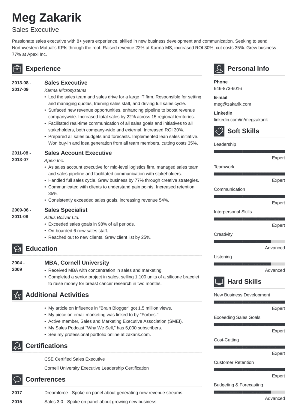 Best Executive Resume Template C Level Examples