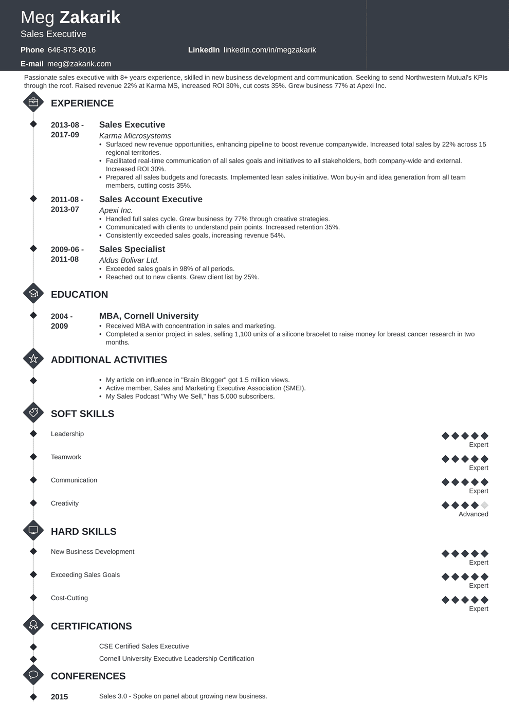 Best Executive Resume Template 20 C Level Examples