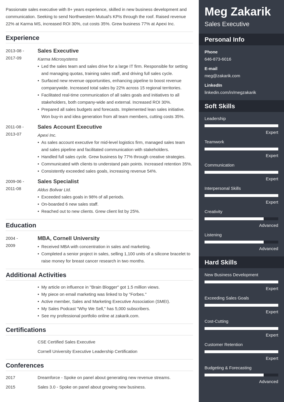 Best Executive Resume Template 20  C Level Examples