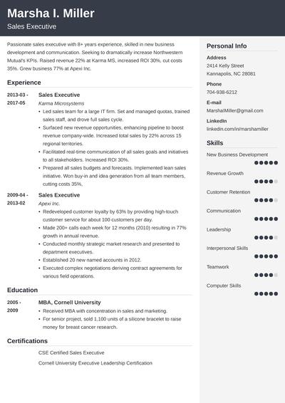 Best Executive Resume Template 20 C Level Examples