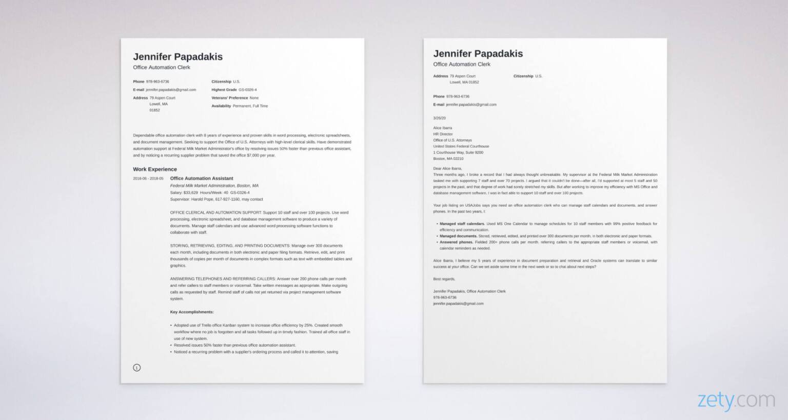 30+ Example Of A Government Job Application Letter download