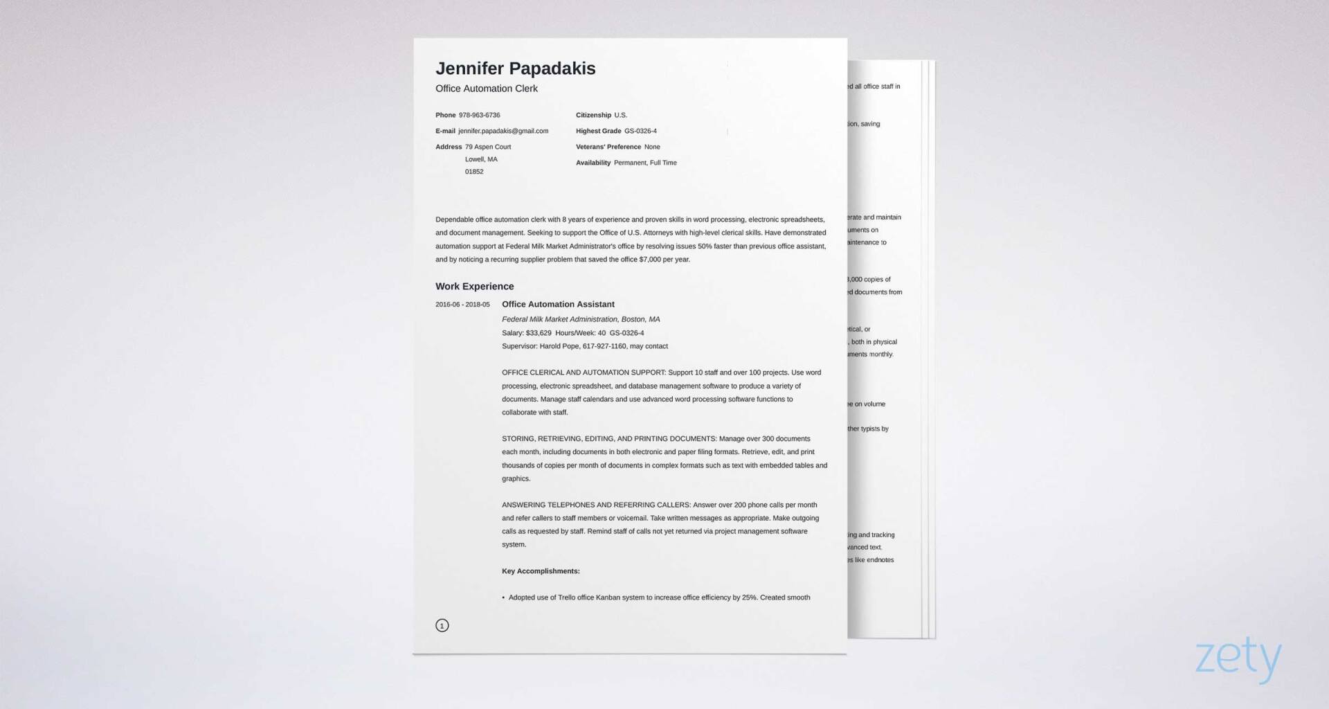 2020 Federal Resume Template Format 20 Examples