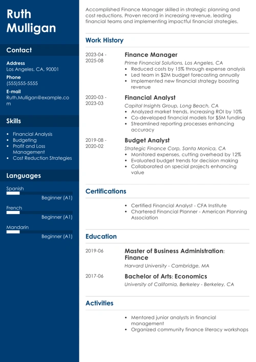finance manager resume example