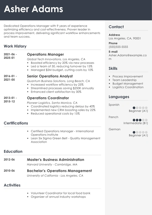 sample resume example
