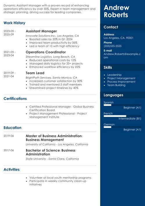 sample resume example