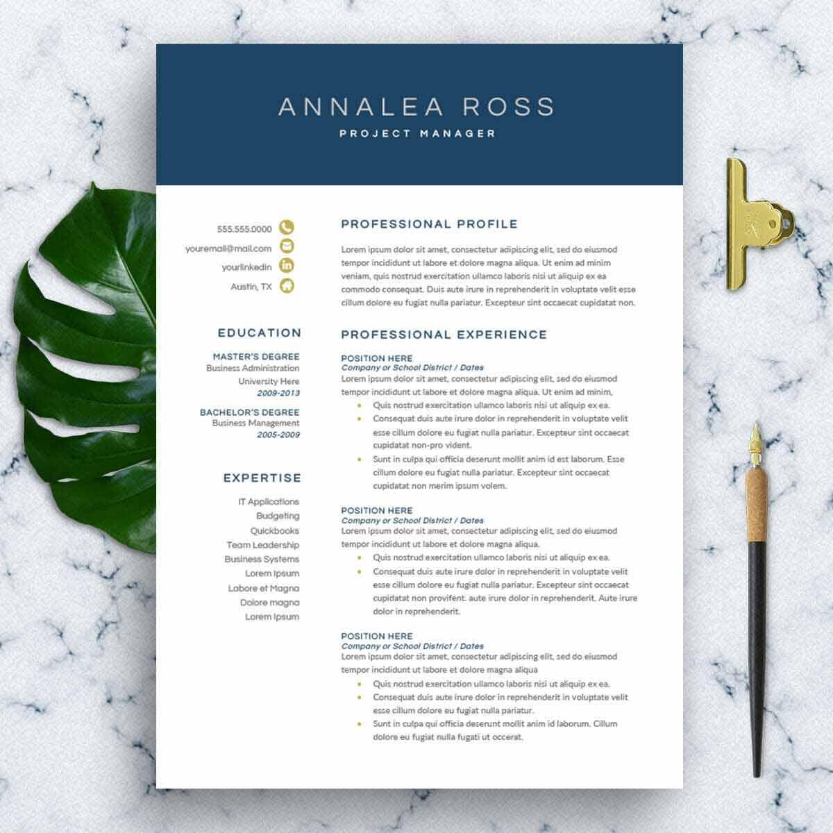 modern resume templates free download pdf